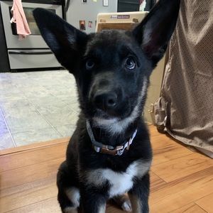 Meet your Posher, Abi